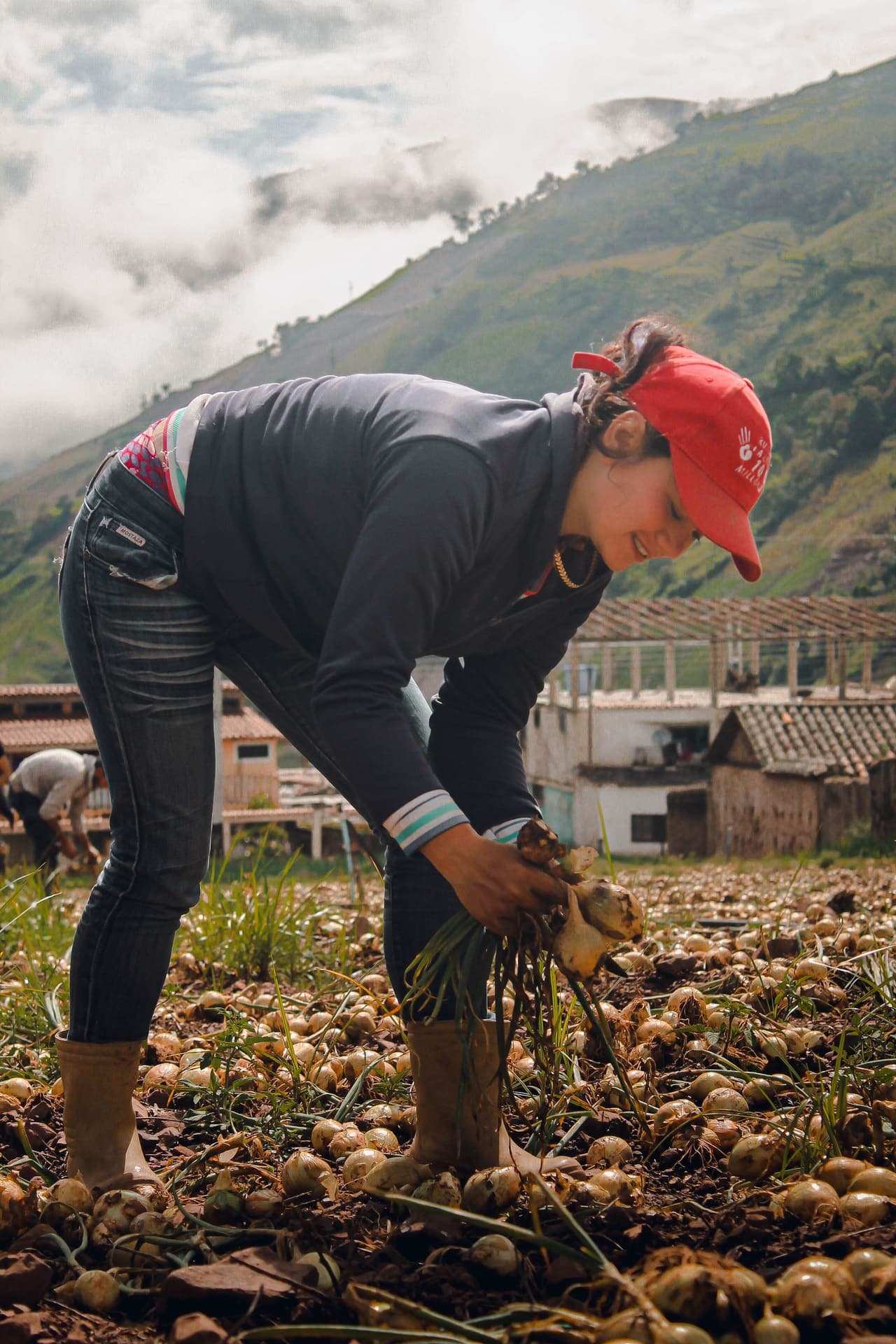Agricultora cosechando cebollas en El Cobre, Táchira